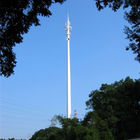 직업적인 원거리 통신 탑, 가장된 소나무 탑