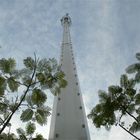 45m 둥근 원거리 통신 탑 이동 전화 안테나 탑